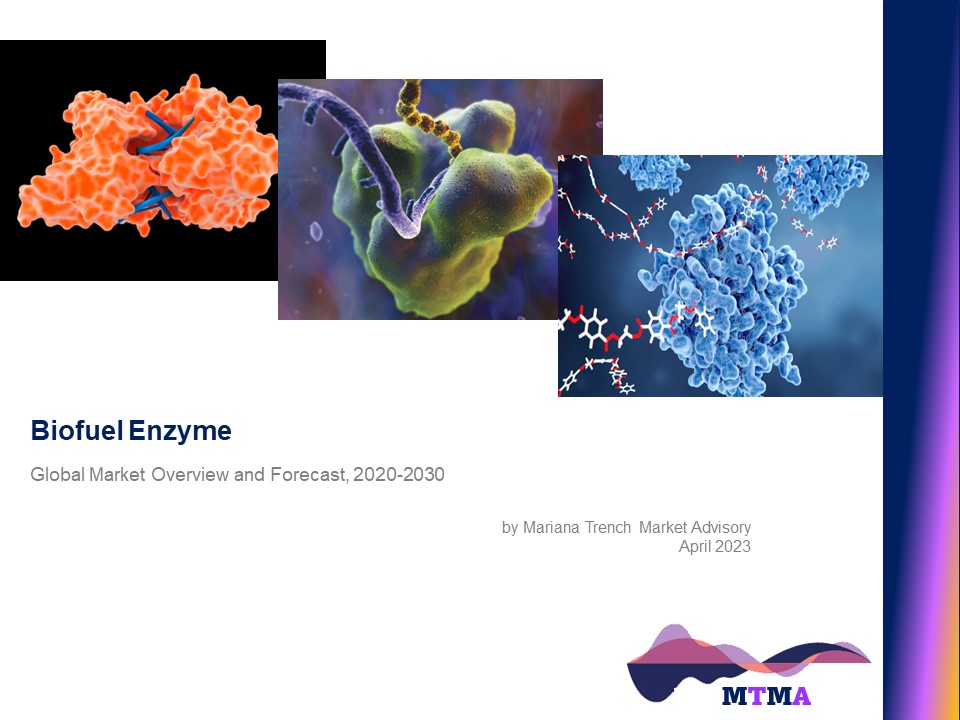 Read more about the article Biofuel Enzyme: Global Market Scenario, Trends, Opportunity, Growth and Forecast, 2020-2030
