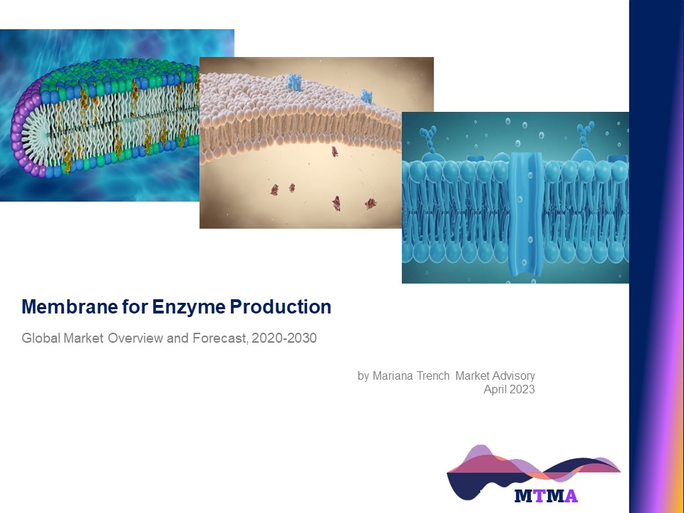 Read more about the article Membrane for Enzyme Production: Global Market Scenario, Trends, Opportunity, Growth and Forecast, 2020-2030